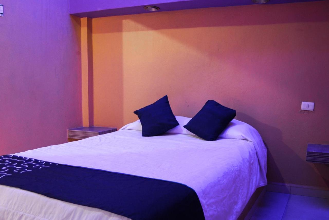 Hotel Oasis 몬테레이 외부 사진